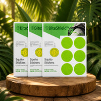 bundle-3x