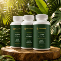 bundle-3x