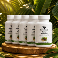 bundle-5x